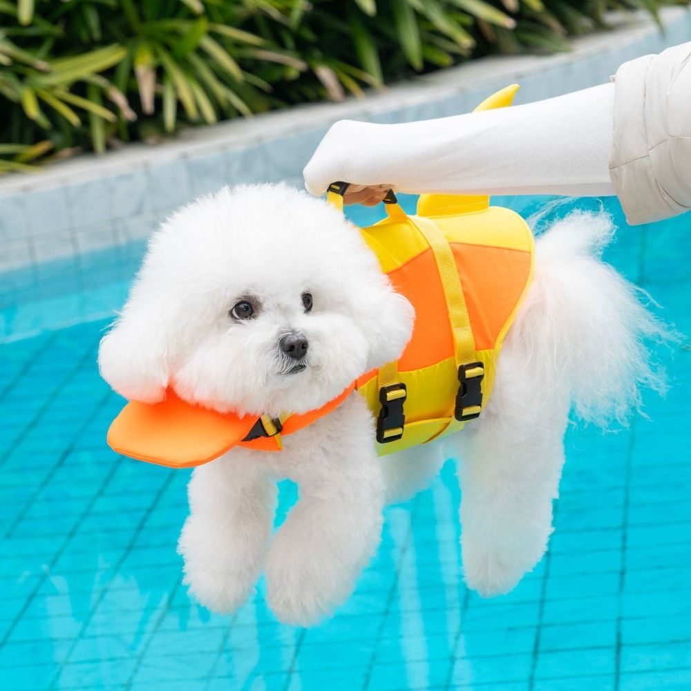 سترة نجاة للكلاب على شكل سمكة  - مراجعة Life Jacket وسعره